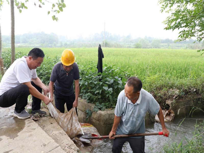 600亩稻田及时“解渴”