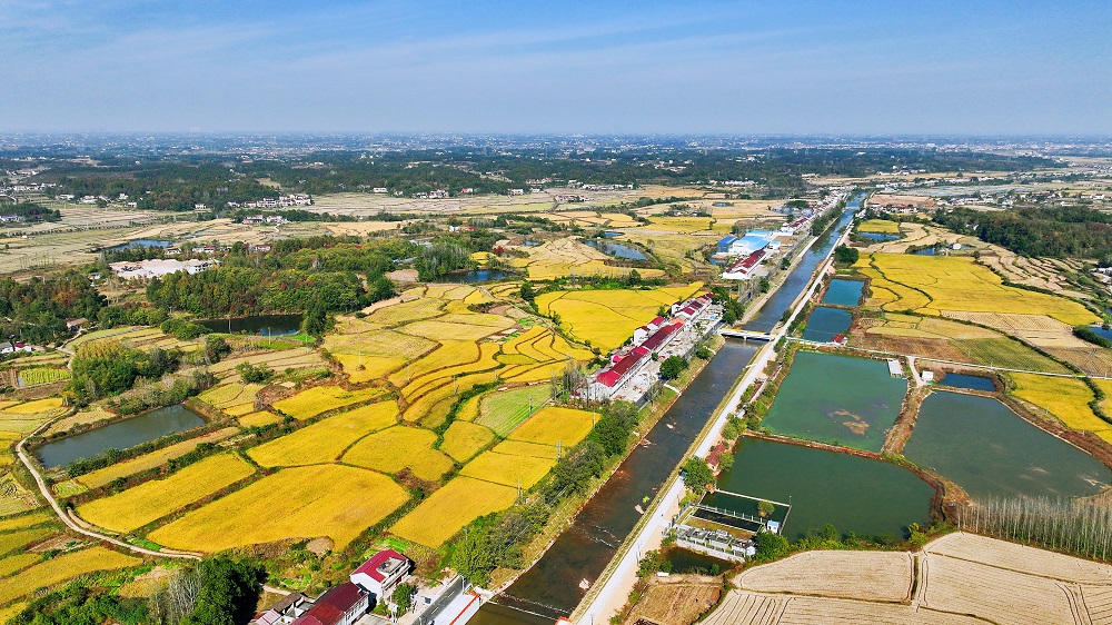 水润粮丰乡村美