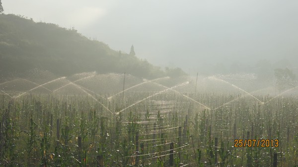 5小农水重点县猕猴桃喷灌工程_看图王(1).jpg