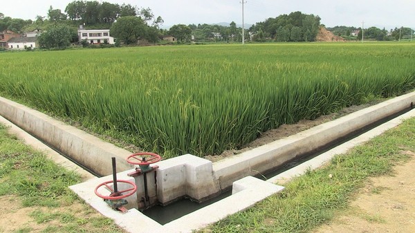 12田间渠道水闸工程_看图王.jpg